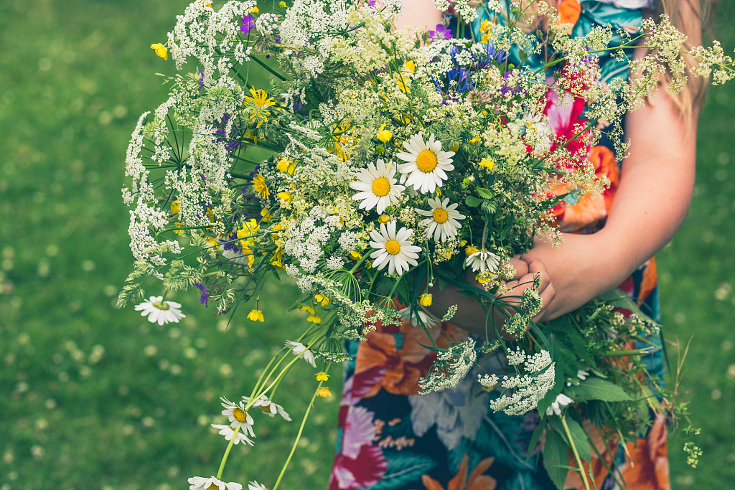 婚礼花卉礼仪之婚车鲜花装饰 – 花百科