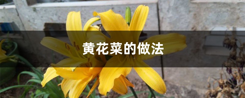 黄花菜的做法，怎样做好吃