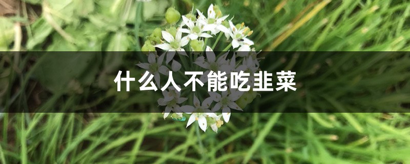 什么人不能吃韭菜，痛风能吃韭菜吗