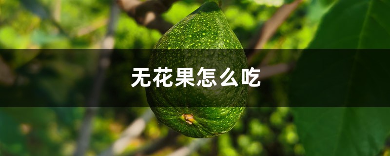 无花果怎样吃，吃无花果有什么好处