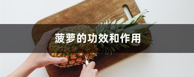 菠萝的功效和作用