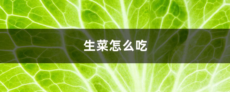 生菜怎样吃，怎样做