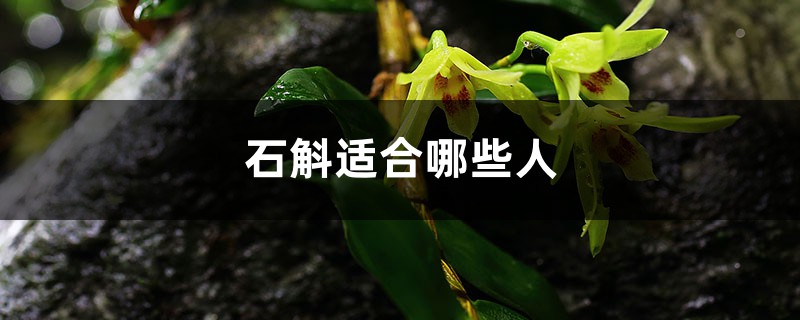 石斛适合哪些人吃，怎样吃