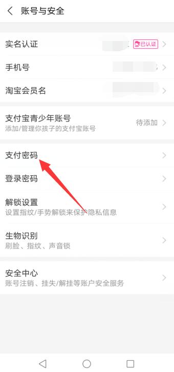 怎样改支付宝支付密码