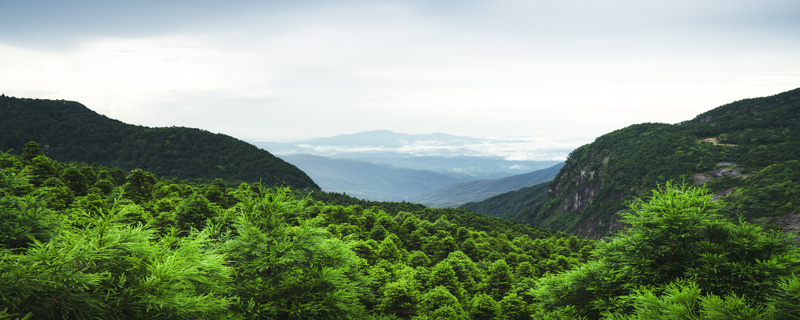 明月山多高