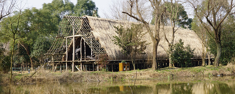 河姆渡遗址证明了什么