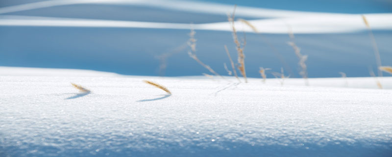 冰雪的雅称