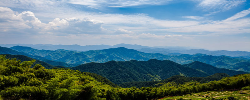 凤凰山多高