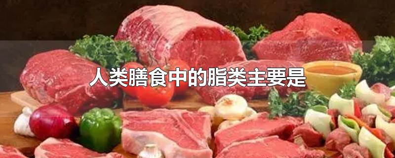 人类膳食中的脂类主要是