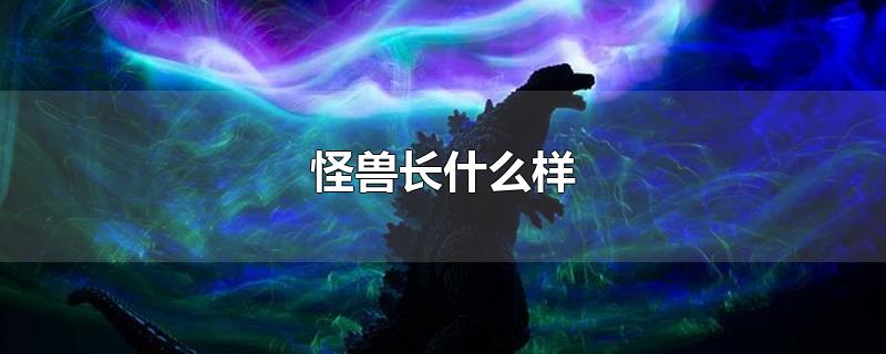 怪兽长什么样