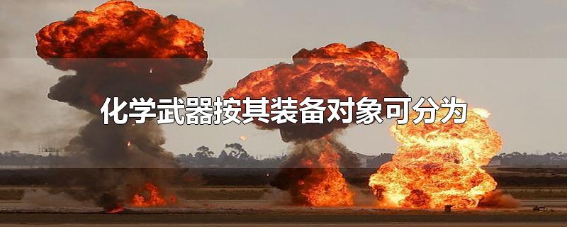 化学武器按其装备对象可分为