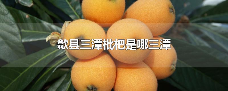 歙县三潭枇杷是哪三潭