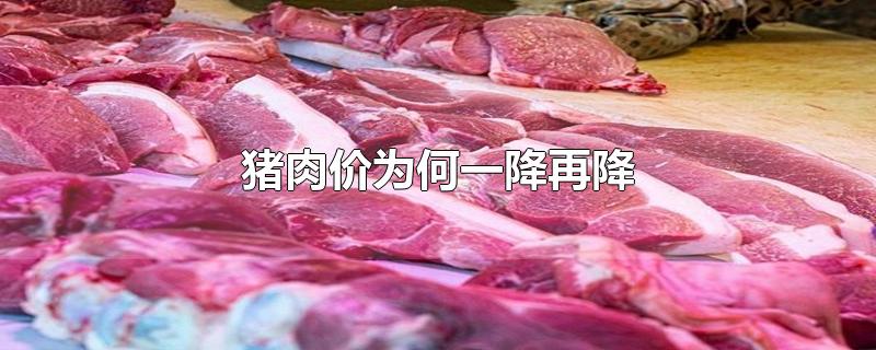 猪肉价为何一降再降