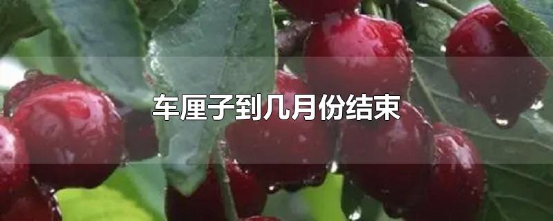 车厘子到几月份结束