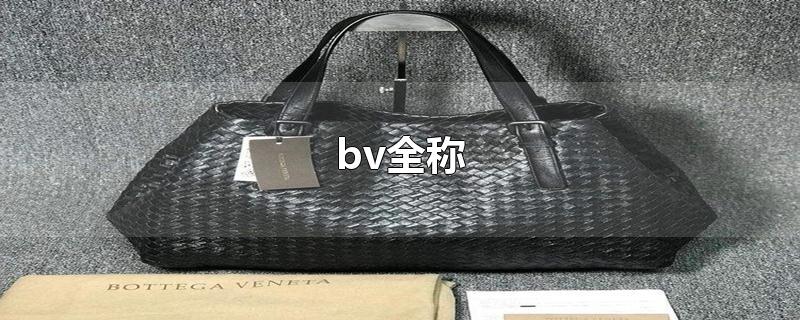 bv全称