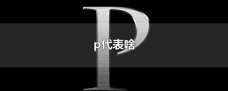 p代表啥