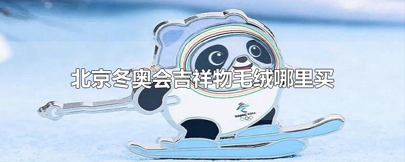 广州冰墩墩售卖点