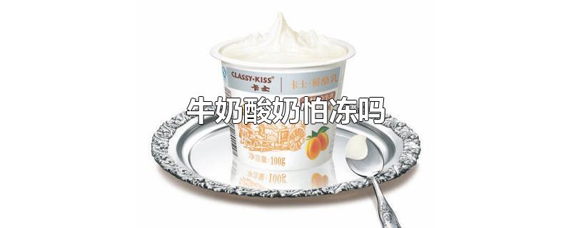 牛奶酸奶怕冻吗