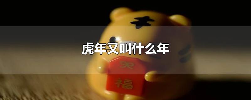 虎年又叫什么年