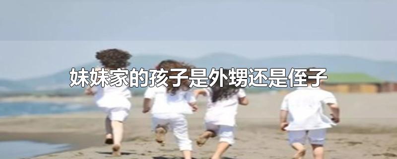 妹妹家的孩子是外甥还是侄子