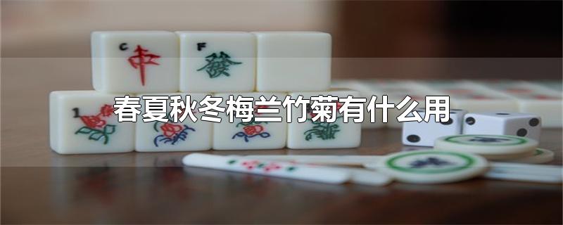 春夏秋冬梅兰竹菊有什么用