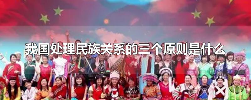 我国处理民族关系的三个原则是什么