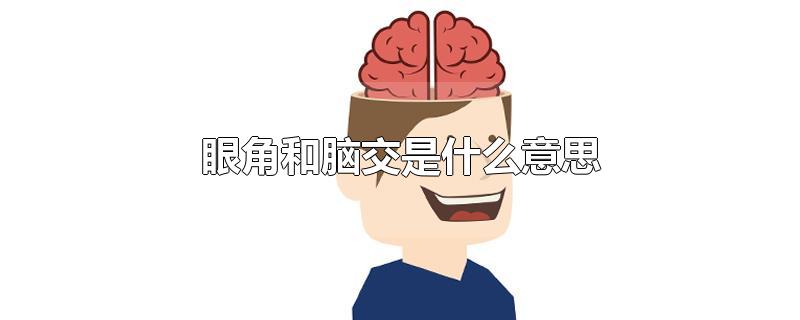 眼角和脑交是什么意思