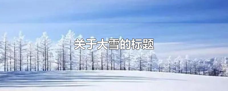 关于大雪的标题