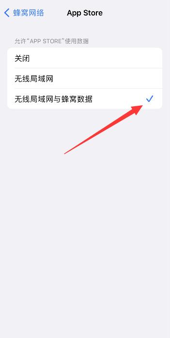 苹果app store打不开