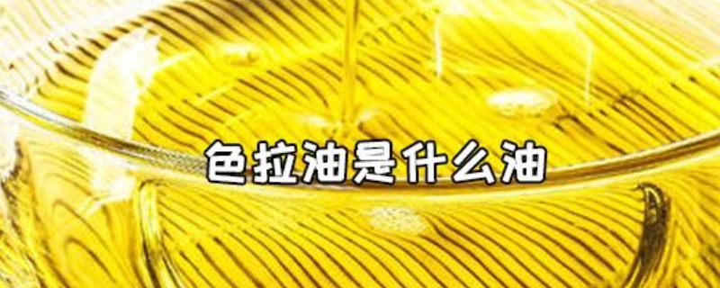 色拉油是什么油