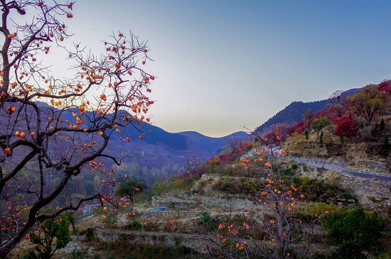 保定免费山水旅游景点