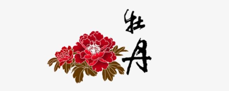 第十届中国花卉博览会的会花是什么?