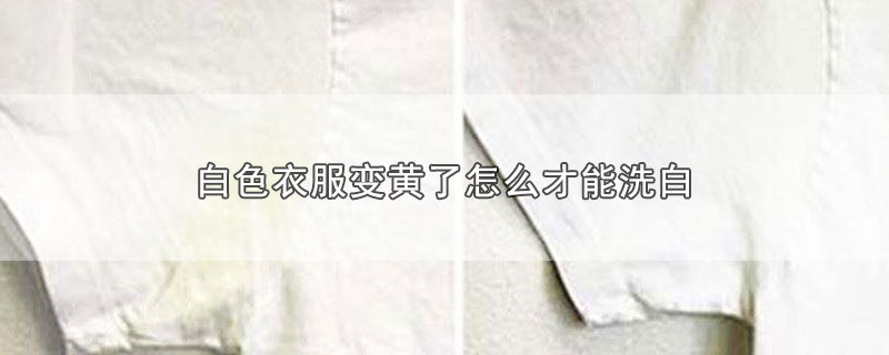 白色衣服变黄了怎么才能洗白