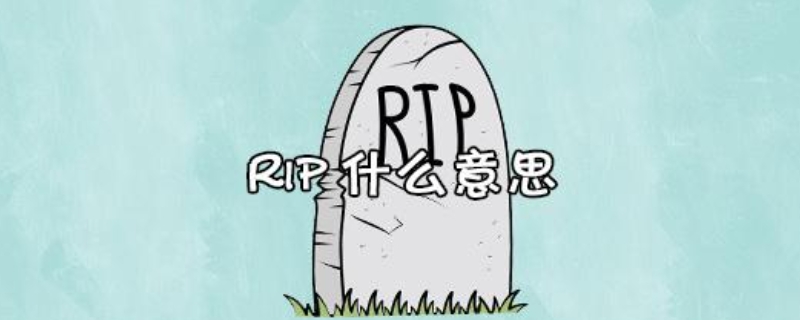 rip什么意思