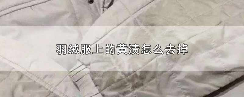 羽绒服上的黄渍怎么去掉