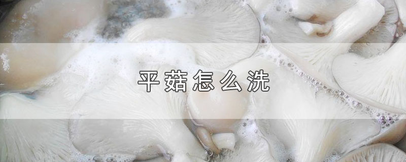 平菇怎么洗