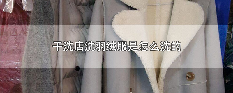 干洗店洗羽绒服是怎么洗的