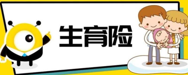 生育险一共报销多少钱