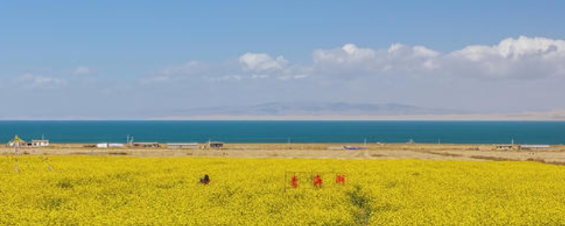 青海湖旅游攻略