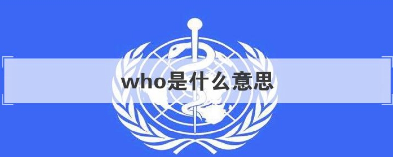 who是什么意思