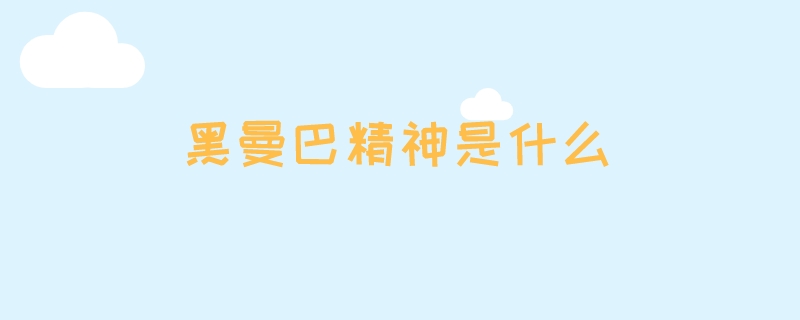 黑曼巴精神是什么