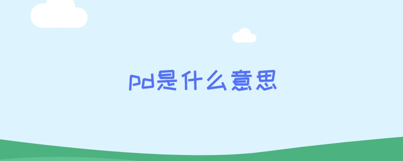 pd是什么意思