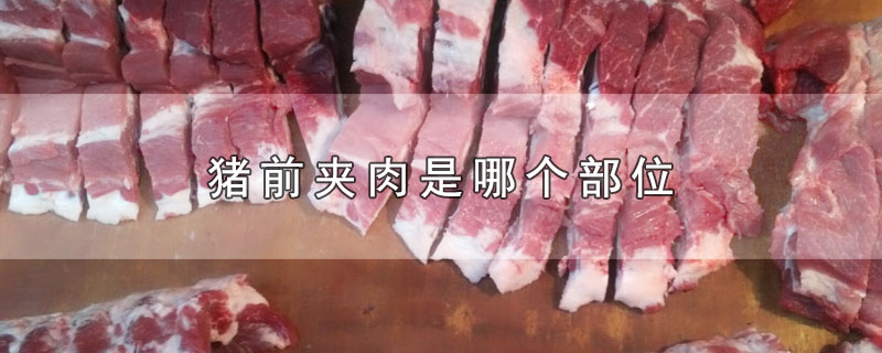 猪前夹肉是哪个部位