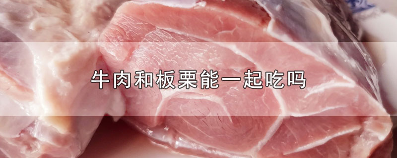 牛肉和板栗能一起吃吗