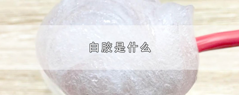 白胶是什么