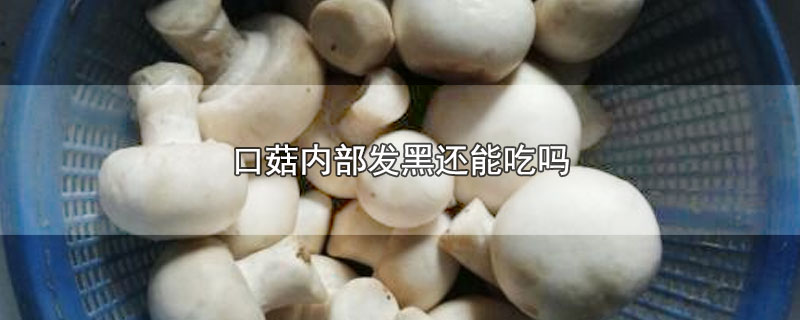 口菇内部发黑还能吃吗