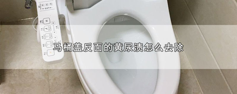 马桶盖反面的黄尿渍怎么去除