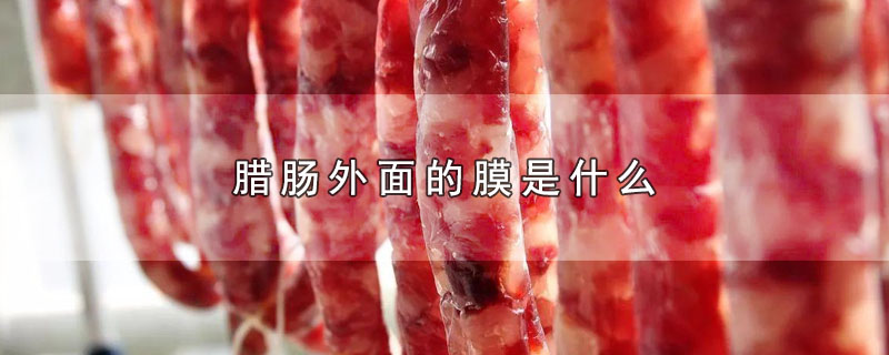 腊肠外面的膜是什么