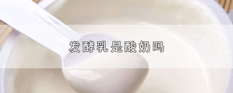 发酵乳是酸奶吗