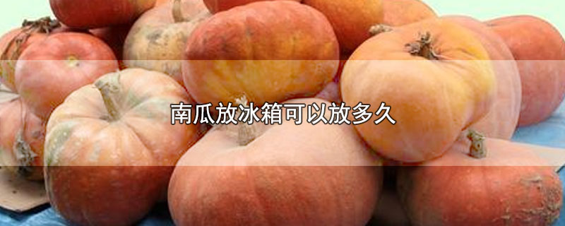 南瓜放冰箱可以放多久